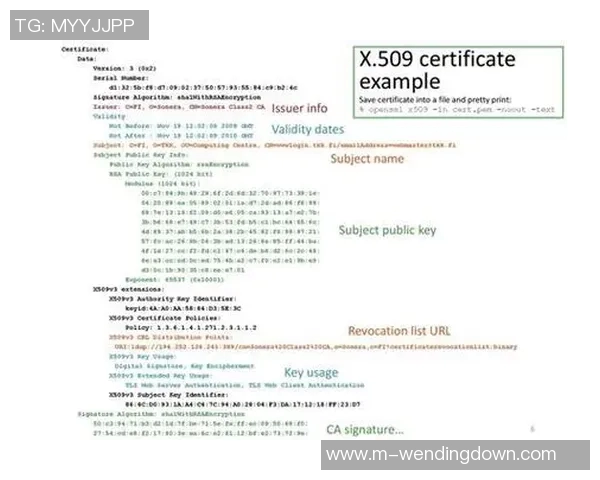 问鼎小说app免费版下载-探索阅读新境界，问鼎小说APP免费版下载体验-问鼎小说app免费版下载
