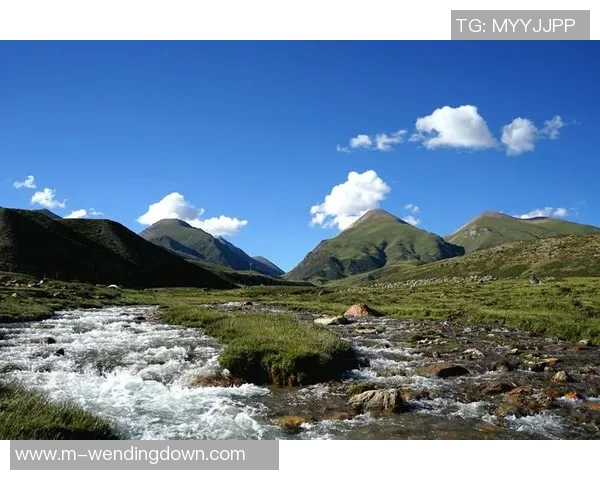 问鼎彩票娱乐-揭秘彩票娱乐之旅的背后吸引力—问鼎彩票娱乐的文章探秘-问鼎彩票娱乐